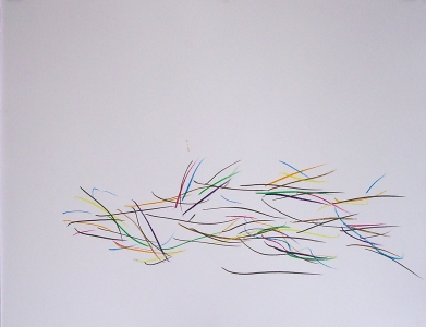 mouvement d'herbe n4 crayon de couleur sur papier 50x75cm 2011